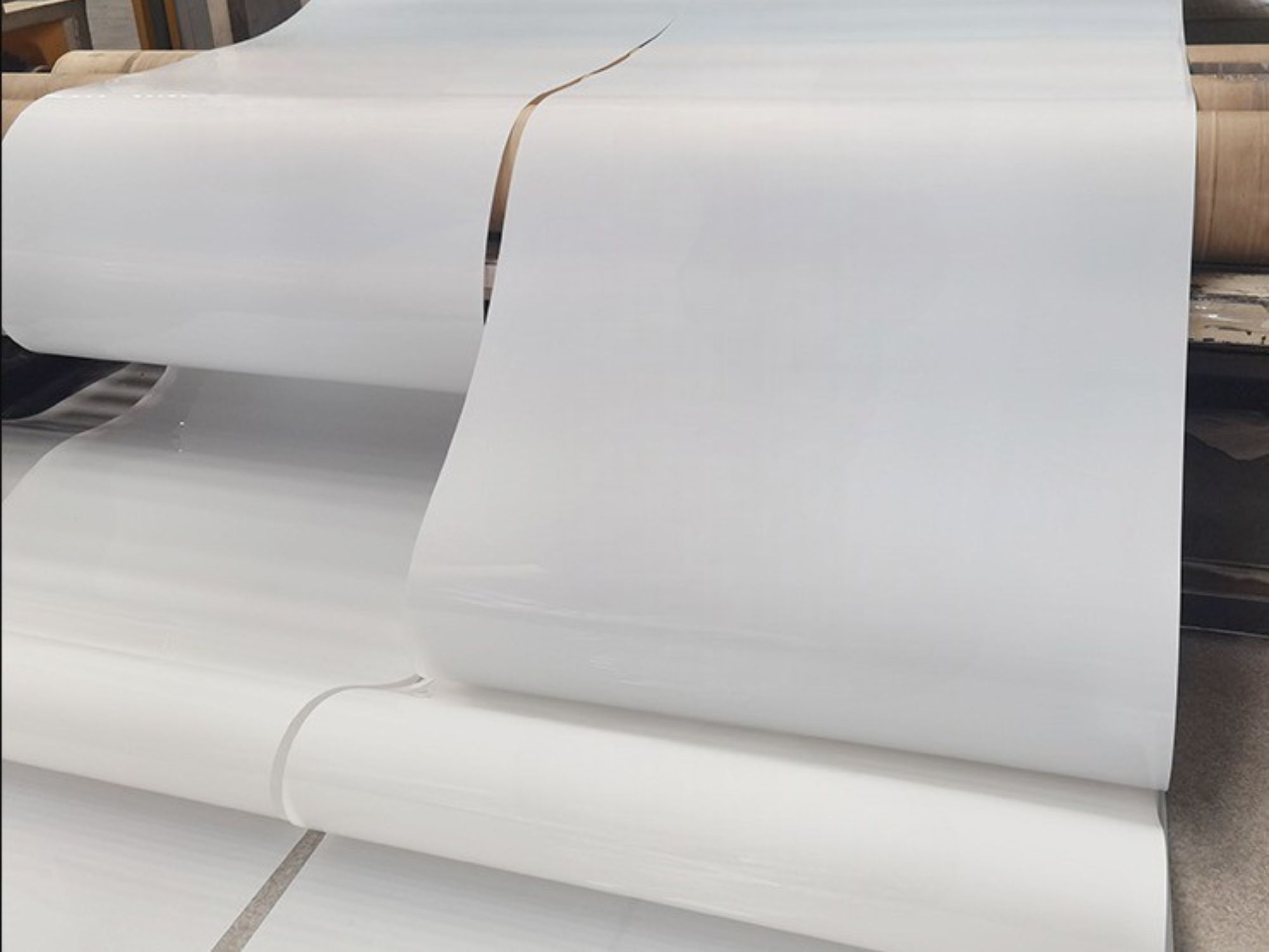 Nastri per il trasporto di pollina